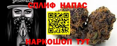 мдпв Гусев