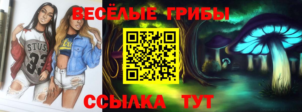 Ногинск  Галлюциногенные грибы Cubensis  Галлюциногенные грибы мицелий  Вход с VPN 
