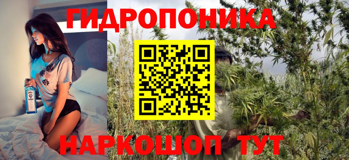 Бошки марихуана Amnesia  Бошки марихуана Bruce Banner  Ногинск  Конопля THC 21%  Вход с VPN  МАРИХУАНА Amnesia 